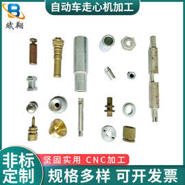 走芯机加工车铣钻铣扁精密的轴嵌件定做自动车床零件生产厂家