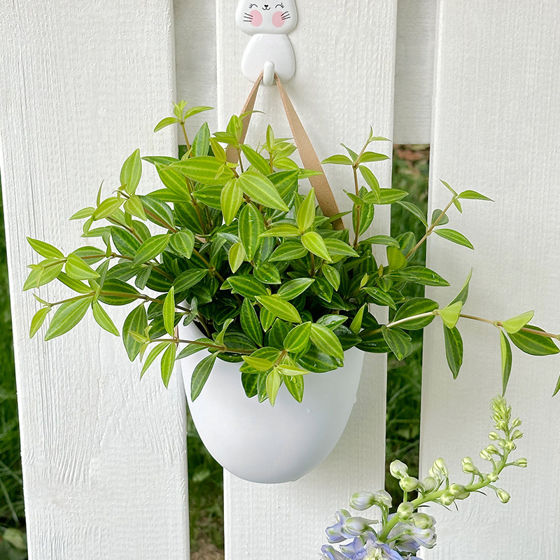 Ins北欧風花瓶花器ストラップ装飾創意壁掛け水培シンプル吊りバスケット吊り壁シミュレーション植木鉢|undefined