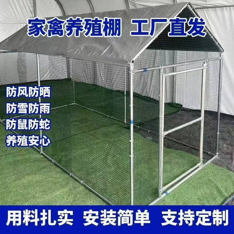 Large Outdoor Poultry Breeding Chicken Shed Rainproof Shed Chicken Coop Chicken Cage Duck Shed Chicken Coop Household Chicken Coop Rabbit Shed Dog Shed Large Outdoor Poultry Breeding Chicken Shed Rainproof Shed Chicken Coop Chicken Cage Duck Shed Chicken Coop Household Chicken Coop Rabbit Shed Dog Shed