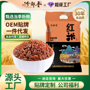 �ڶ��� �t�� ����5�����l�t���׼t���׼t���׼t���׳Ե���