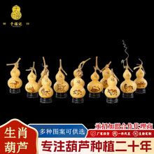 �Ї��Y�Ӯ�12��Ф��̺��J����͏d���P���ҼҾӔ[���S�����l���