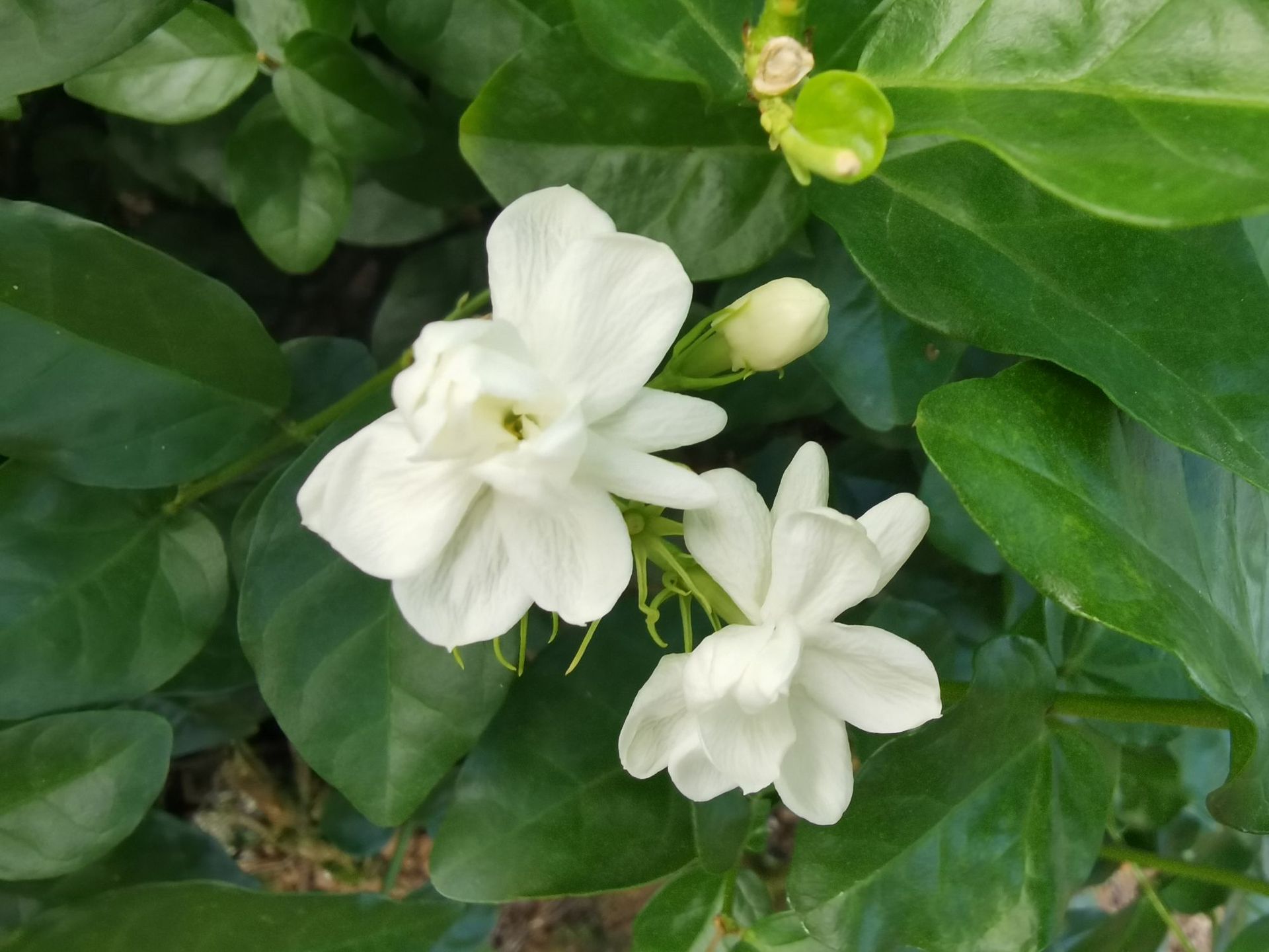 0aaaeb5e6228b21f099f30b4ebadc5