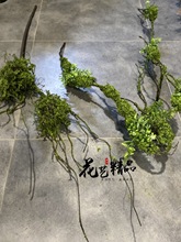 ���٘�֦���������֦���ٿݘ�֦̦�\��̦�쾰ɭ����л�ˇ