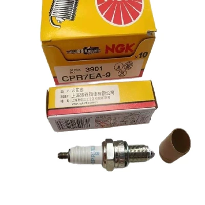 Plug, Alışdırma şamı (Sveçalar)