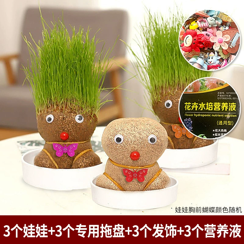[批发草头娃娃浇水头上长草人绿植长头发儿童好养种草幼儿园桌面小]