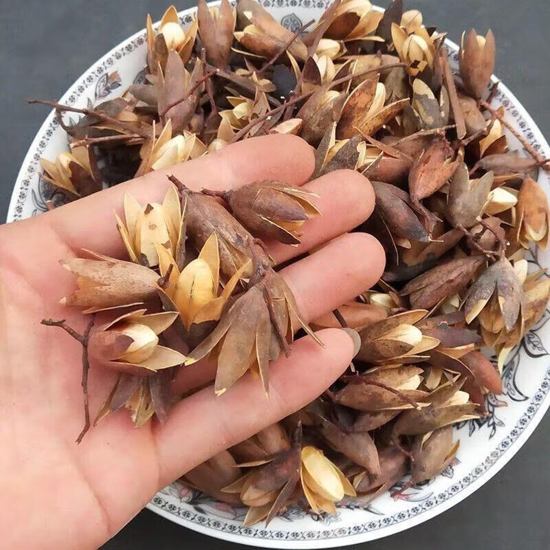 Toona Sinensis Seed Xiang Chun Zi Dried Chinese Herbal Seeds 500g Bulk in use