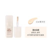 Foundation, concealer for face, makeup primer, against dark circles under the eyes