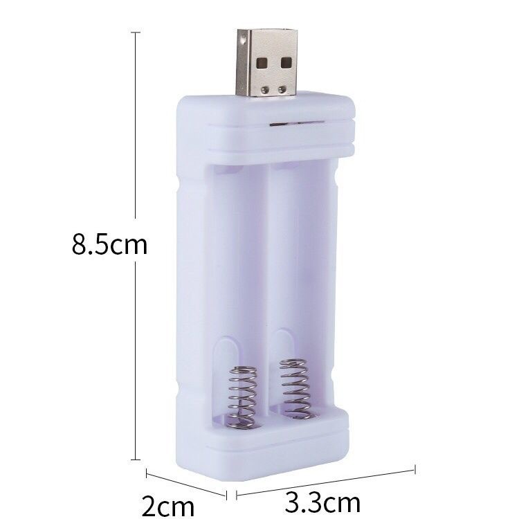 2 slot charger