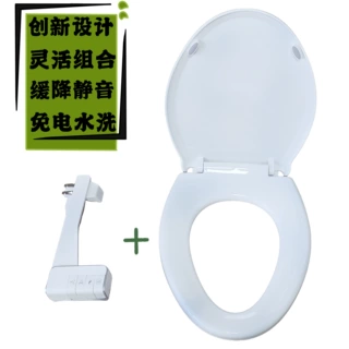 马桶盖板+洁身器组合经济款一键快拆水压可调洗屁屁神器妇洗器