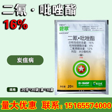 巴斯夫碧翠16%二氰·吡唑酯 柑橘苹果山药草莓炭疽病 杀菌剂20克