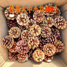 ��Ȼ�ɻ��ɹ������[���ֹ�����diy�׃��@�ֹ��h��С�ɹ��羳ֱ�N