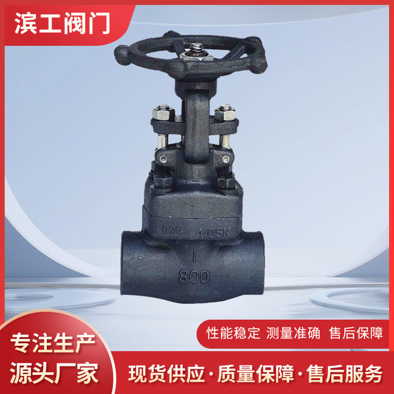 锻钢焊接闸阀 锻钢波纹管闸阀WZ11H 波纹管丝扣闸阀 锻钢丝扣闸阀