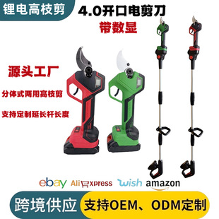 늄���֦���늹�֦���ֳ֟o������늈@�ֈ@ˇ�����޼�늄Ӽ���