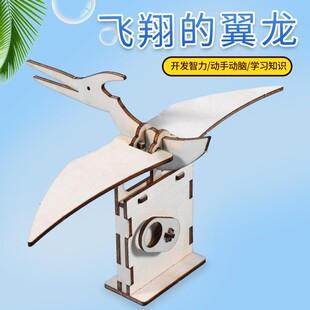 科技小制作DIY手工拼裝兒童小學生科學實驗steam教育物理益智玩具