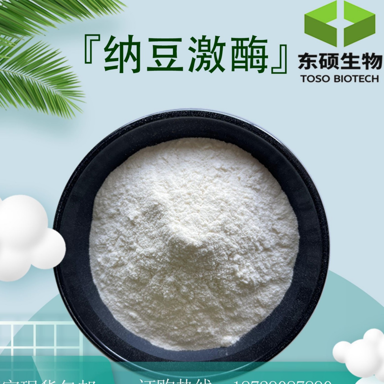 纳豆激酶20000FU/g纳豆提取物纳豆激酶粉纳豆酵素东硕生物食品级