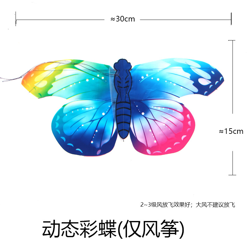 动态彩蝶.jpg