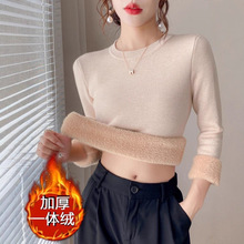 һ�w�q���ϼӽq�Ӻ�A�I�ﶬë��ʿ���ᘿ����L��ȴů����