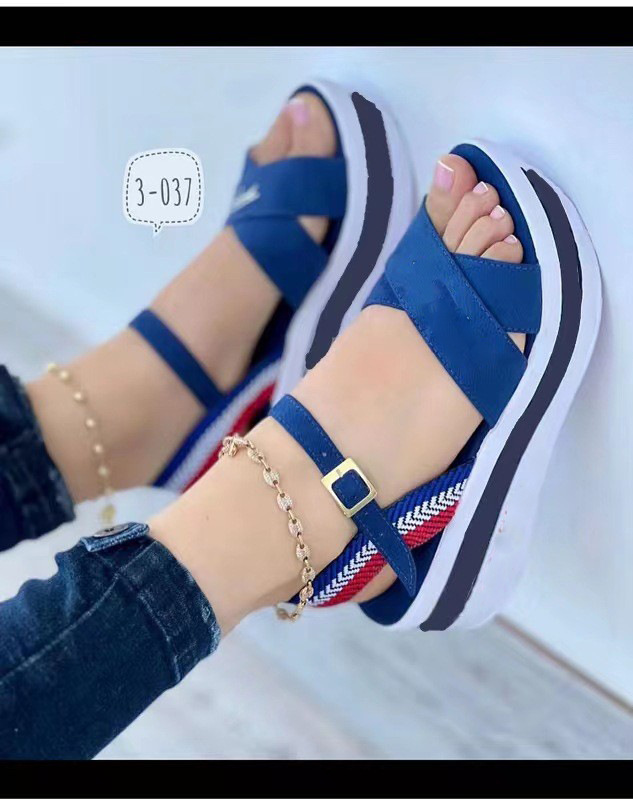 Women's Casual Vacation Color Block Open Toe Platform Sandals display picture 1