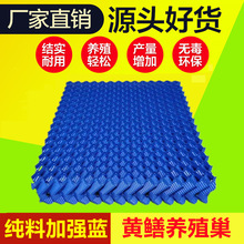 黄鳝养殖巢殖鳝巢养黄鳝巢鳝鱼巢洞穴窝水蛭蚂蟥塑料瓦繁殖泥鳅