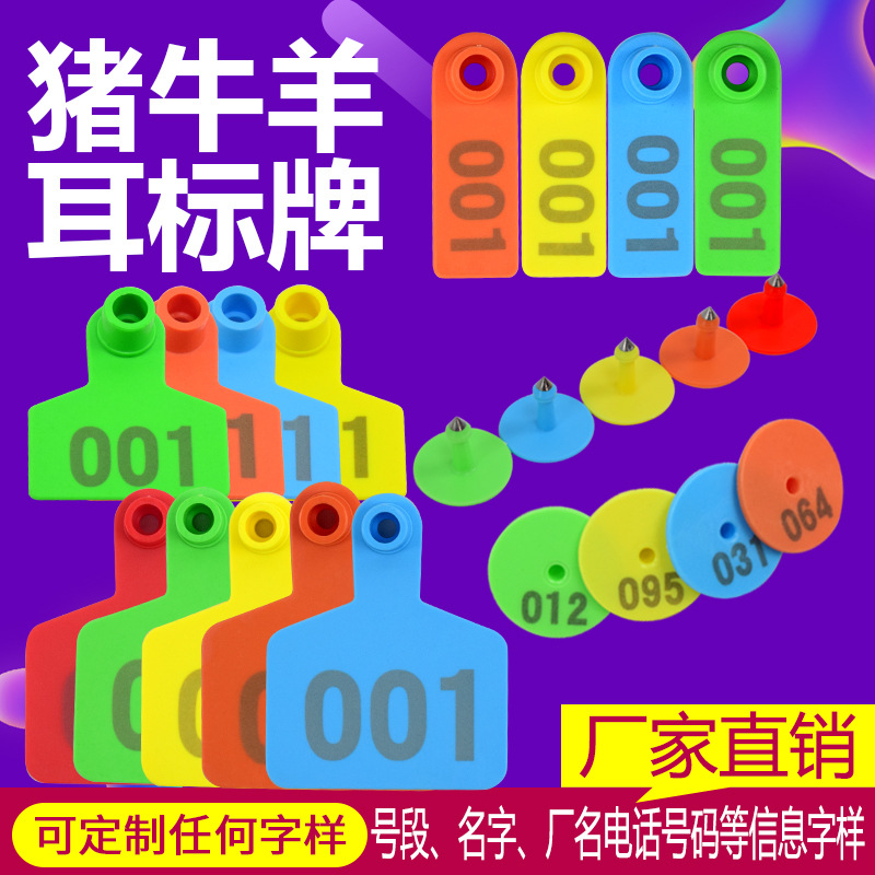 Etiqueta de oreja de cerdo, ganado y oveja con palabras Etiqueta de oreja de oveja etiqueta de número Etiqueta de oreja de oveja con palabras Etiqueta de oreja de oveja