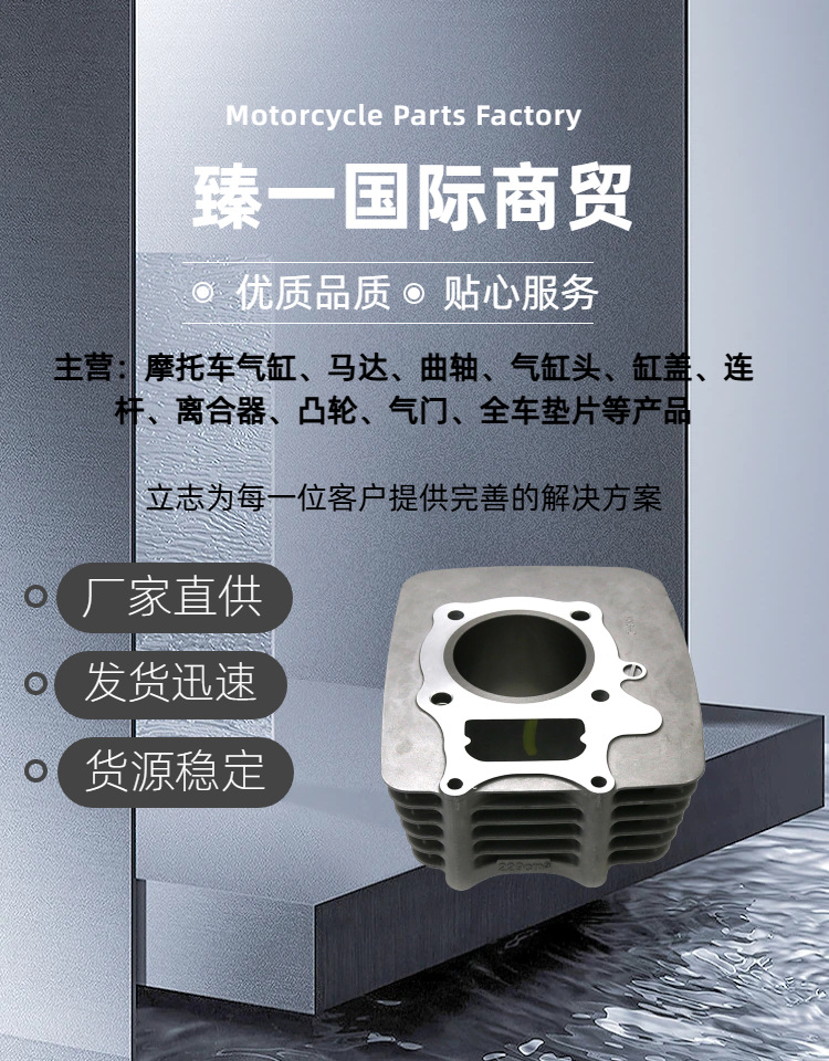 Motorcycle Engine Cylinder Liner Is Suitable for Honda Trx250 68.5mm Cylinder Block Piston Assembly Kit 97-20
