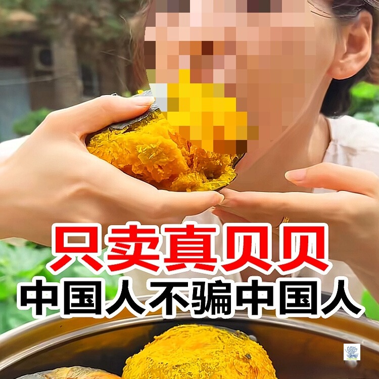 Shandong Authentic Beibei Pumpkin, Chestnut, Small Pumpkin, Pregnant Women and Infants' Food Supplement, Old Pumpkin, Huihe No. 1 Powder, Glutinous and Sweet