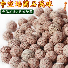 {пʯӢ~מV^Vմɭhht