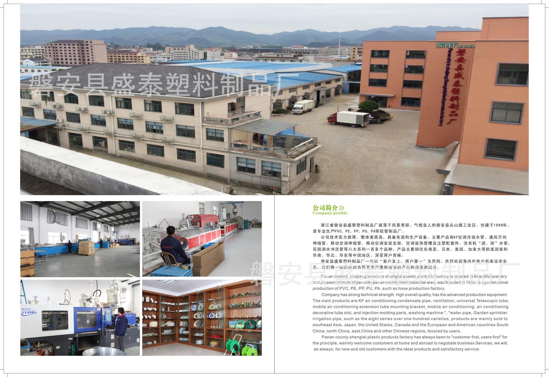 盛洪画册-02_副本