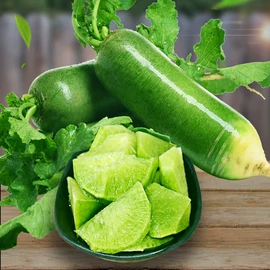 蔬菜种子;粮食作物种子;一二年生花卉