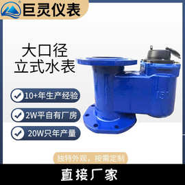 大口径立式水表 立式法兰水表 下进上出工业用水表 DN40-200