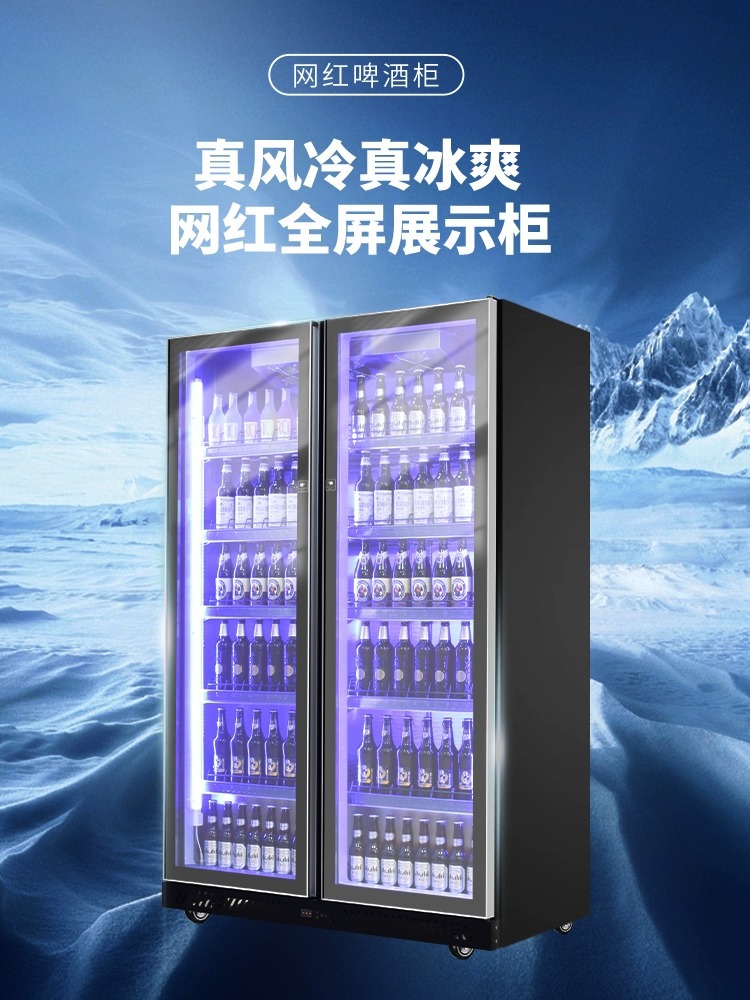 斯柯纳酒水饮料柜啤酒柜酒吧饮料冷藏柜展示柜冰箱商用超市保鲜柜