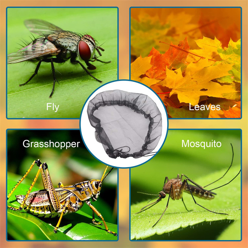 71+6p32viwL._AC_SL1500_