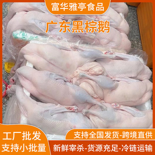 �V�|���h�����Z���r�F����ֻ���Z�Ƶ�F�Z��͏d���Z����ă����l