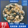 溪流回填园林处理豆石