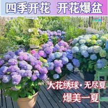 轑򻨷NӟoMĽNԭbļ߲˻ܷNӴȫ˷Nl