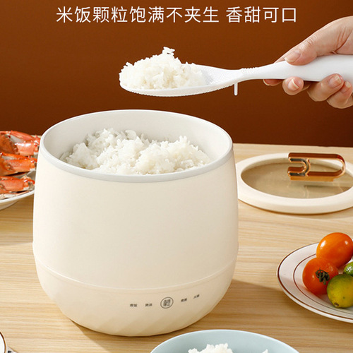 Carefully selected rice cooker household small smart rice cooker multi-functional cooking rice cooker for two persons mini rice cooker electric cooker