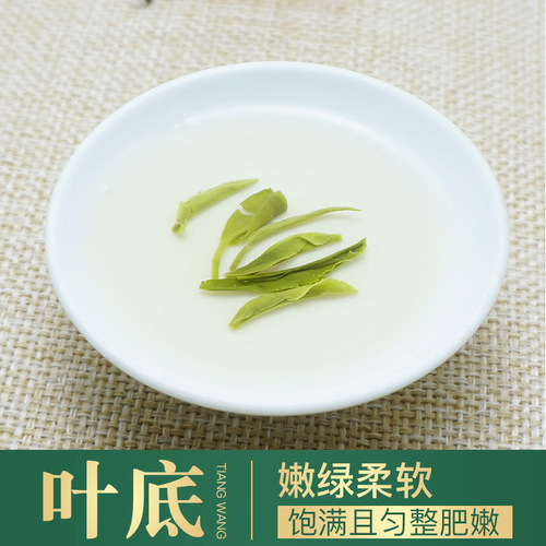 New tea straight Maojian tea 500g Mingqian Yunwu green tea loose tea wholesale strong flavor non-Xinyang