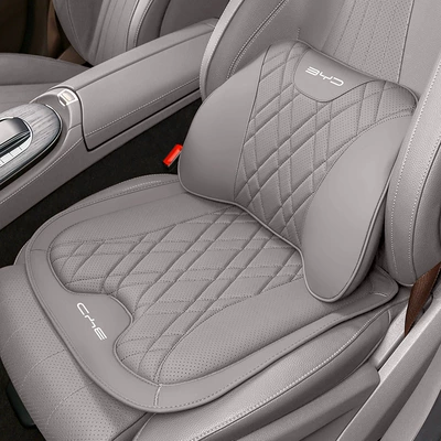 Headrest | Support Interior Accessories - byd-1-seat-cushion-1-lumbar-support-lotus-gray