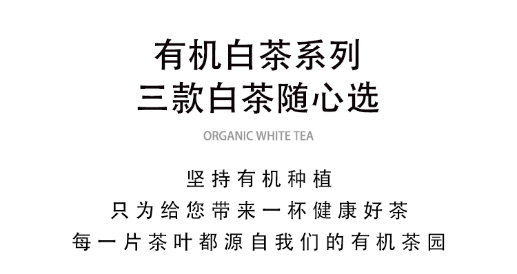 三款白茶详情_01.gif