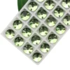 Fruit green