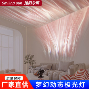 3d�ӑB���D�O���̫��ܠ������bՇ������ˮledϴ��ͶӰ���