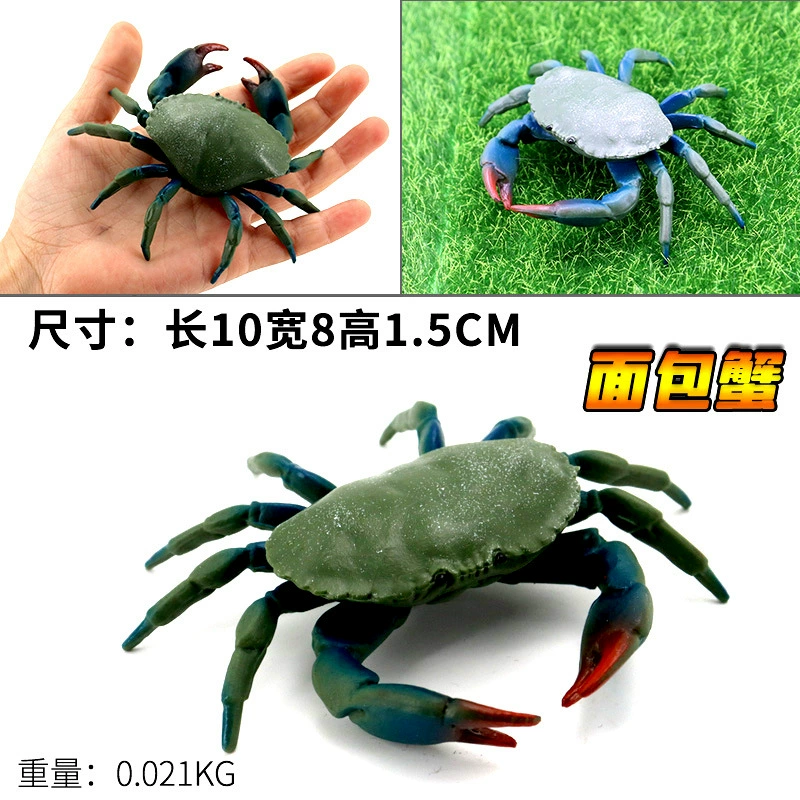 Игрушка, большие морские когнитивные украшения