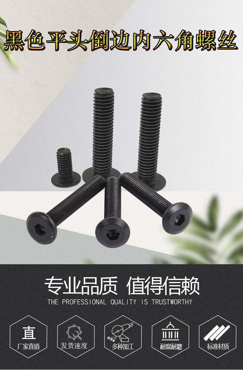 倒边平头内六角螺丝
