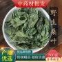 野生乌发正品特级桑叶茶