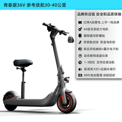 Bremer Electric Scooter Foldableing Electric Car Mini Ride Two-Wheel Battery Portable Small Mobility Scooter V10 (Qatlanan elektrik skuterlər) - 36v-graylisted-brand-lithium-batterychaoyang-tubeless-tire4a-motorbattery-optional-30-40km-48v