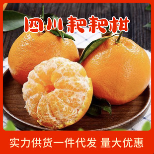 ����S�ٰl���Ĵ���Ҋ�ҰҸ����θ����˸̮���ˮ�����r������]