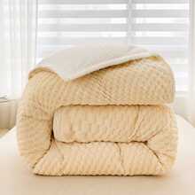 2025皇朝家私双面绒被子牛奶加厚保暖宿舍单人冬季棉被加绒羊加绒