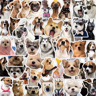 �ɐ�С���N����ͯ��ͨ�N���֎������ز��쾰�b�diy�����z����N