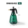 Sprayer, antibacterial teapot, spray