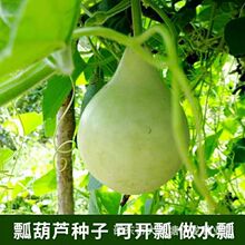�ļ�����ư���J�N�ӿ�ʳ�ò˺��J�N�ӿ�����ˮư�ļ��@�ֺ��J�N��